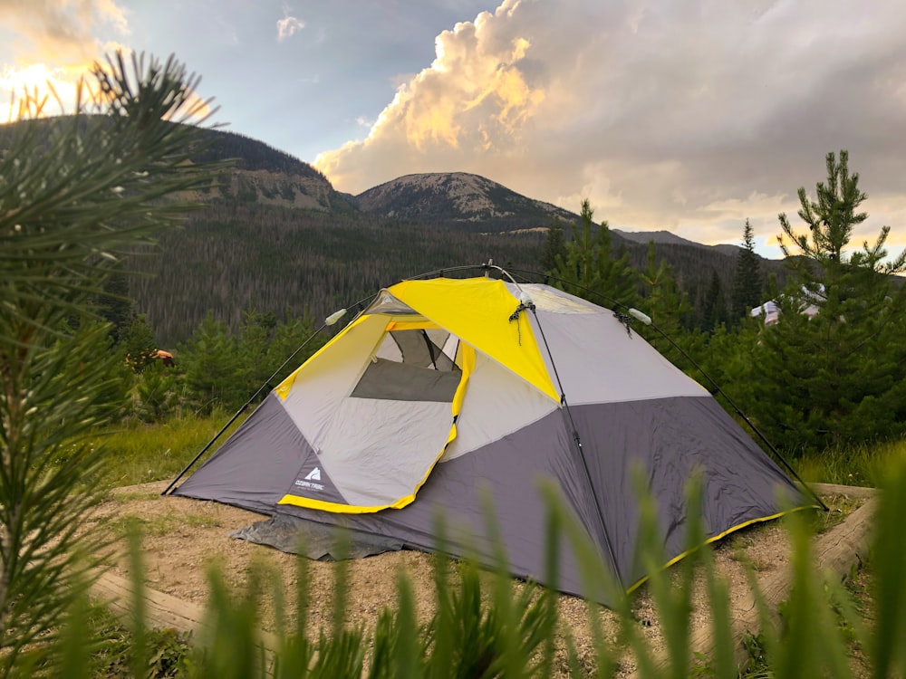 closed gray and white tent surrounded by green plants during daytime