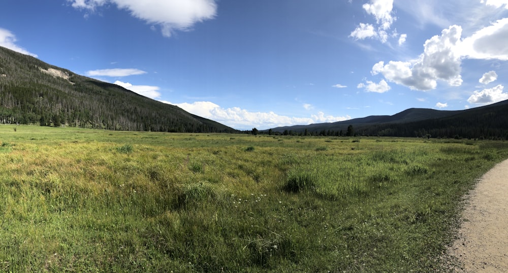 green grass field near mountain