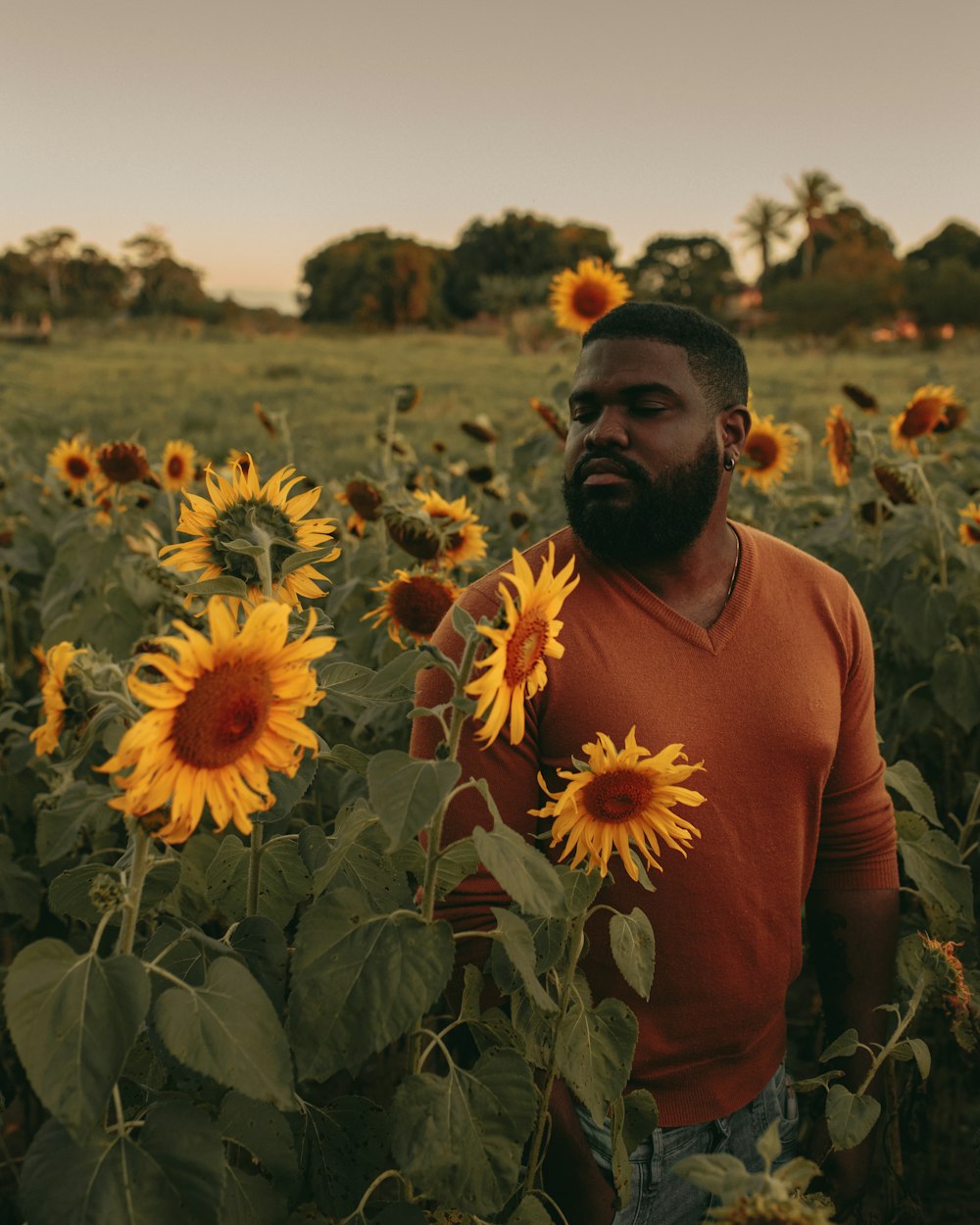 man standing in sunflower field