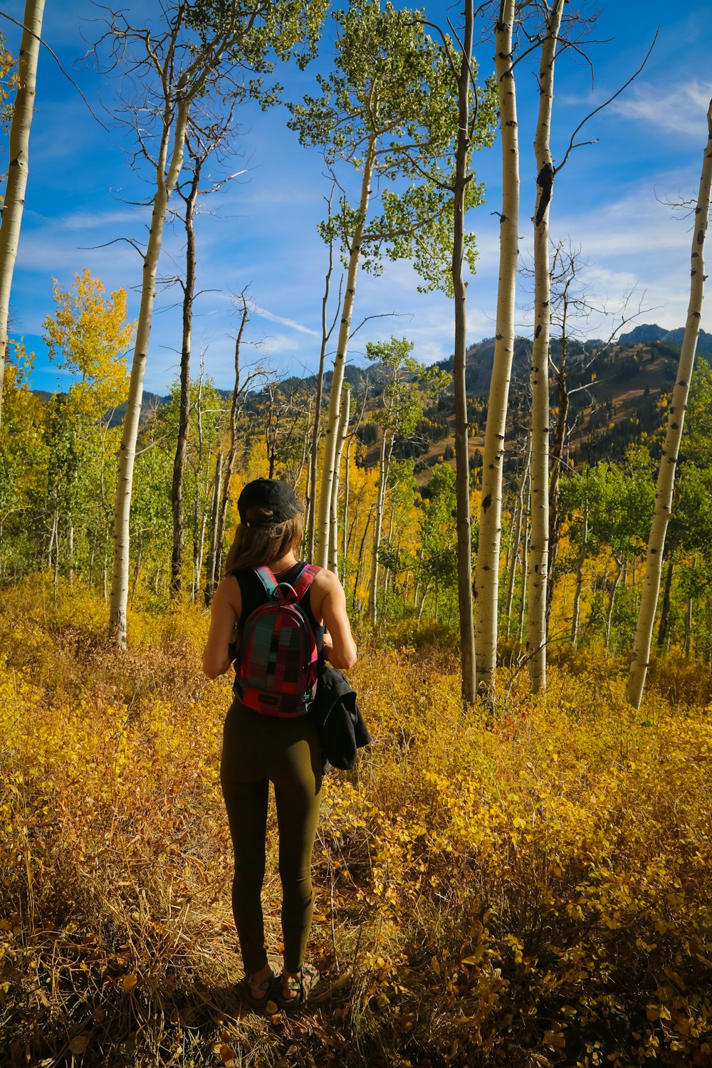 woman standing on land surrounded with trees