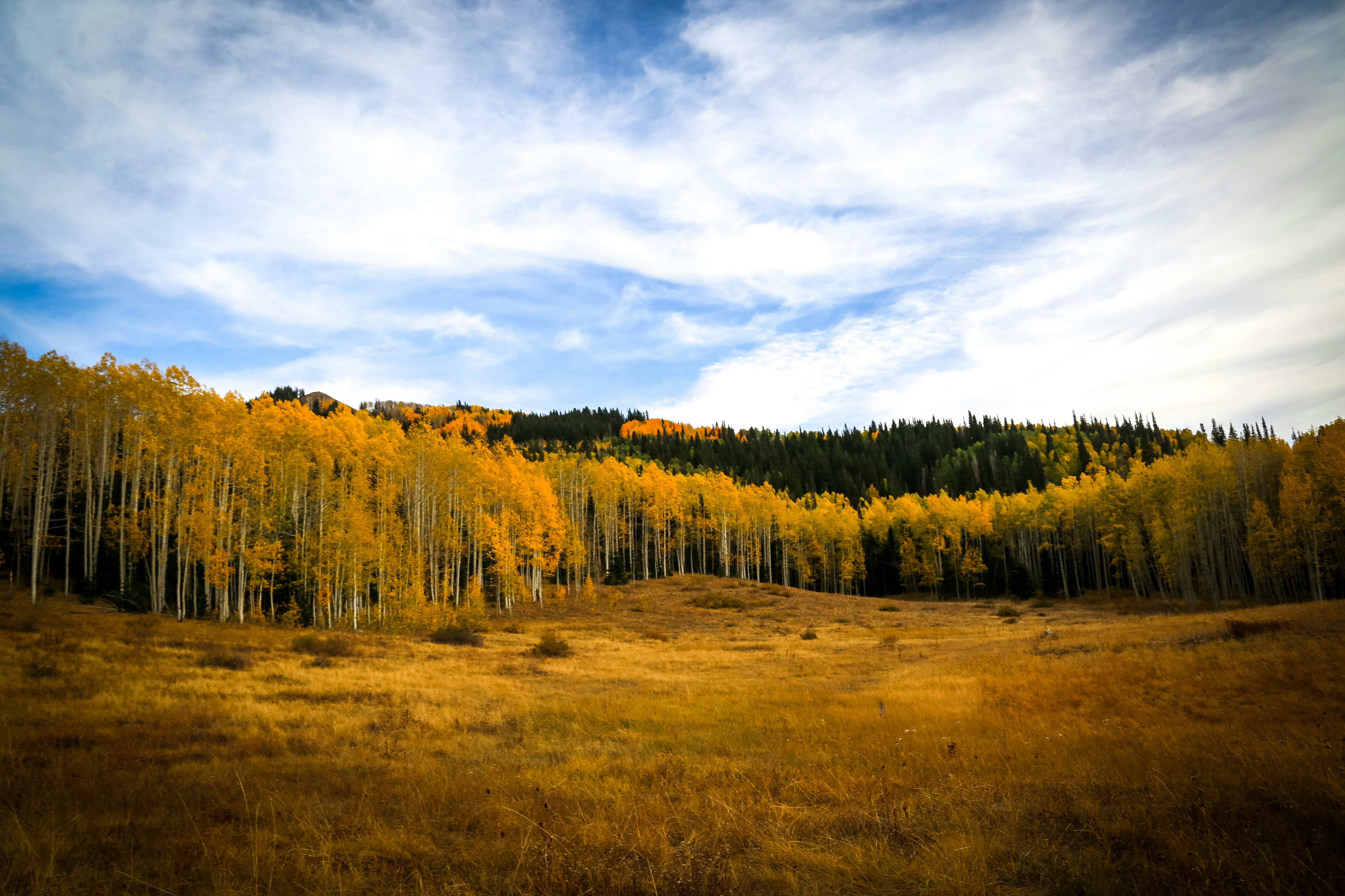 Photo by streuselhaus