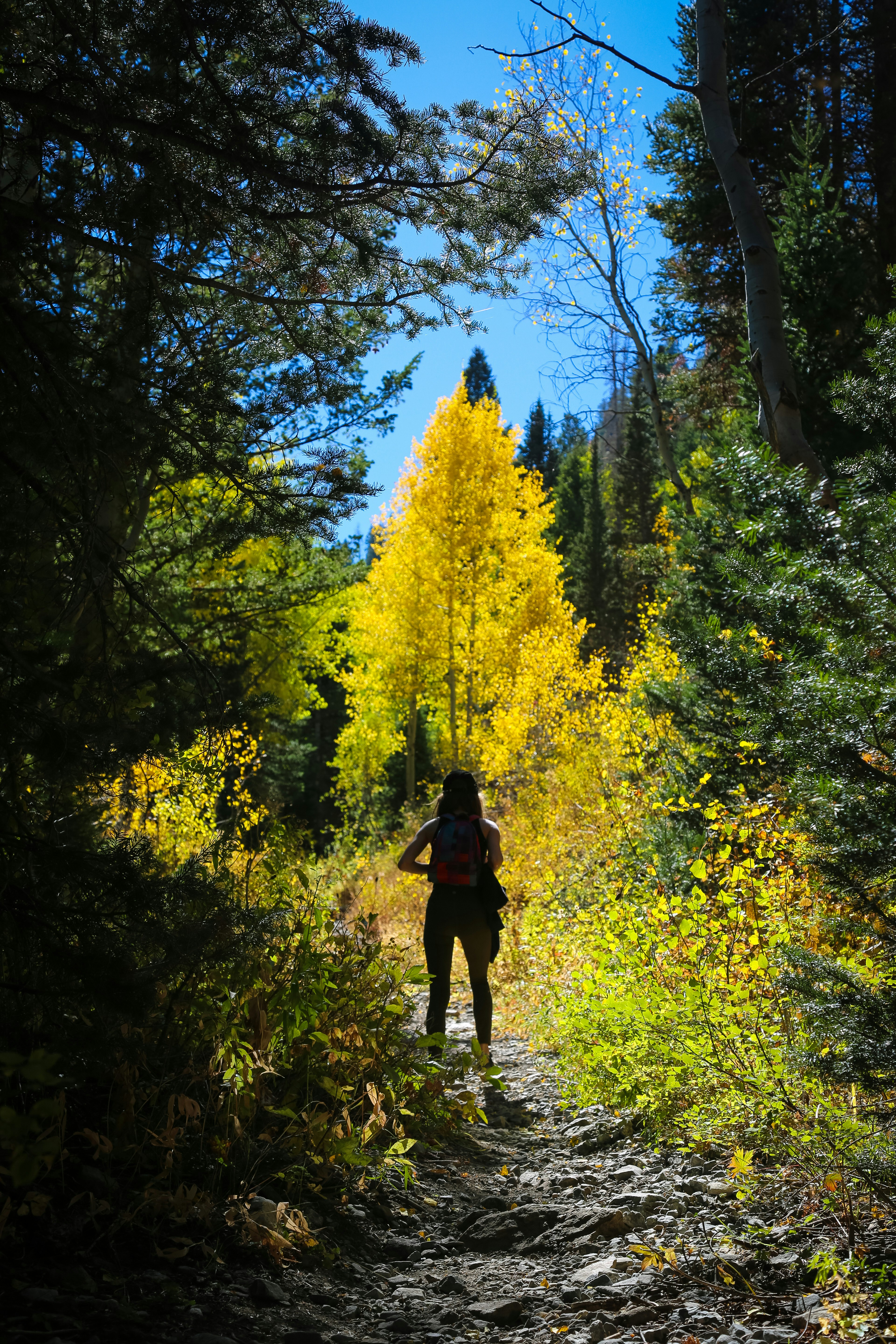 Photo by streuselhaus