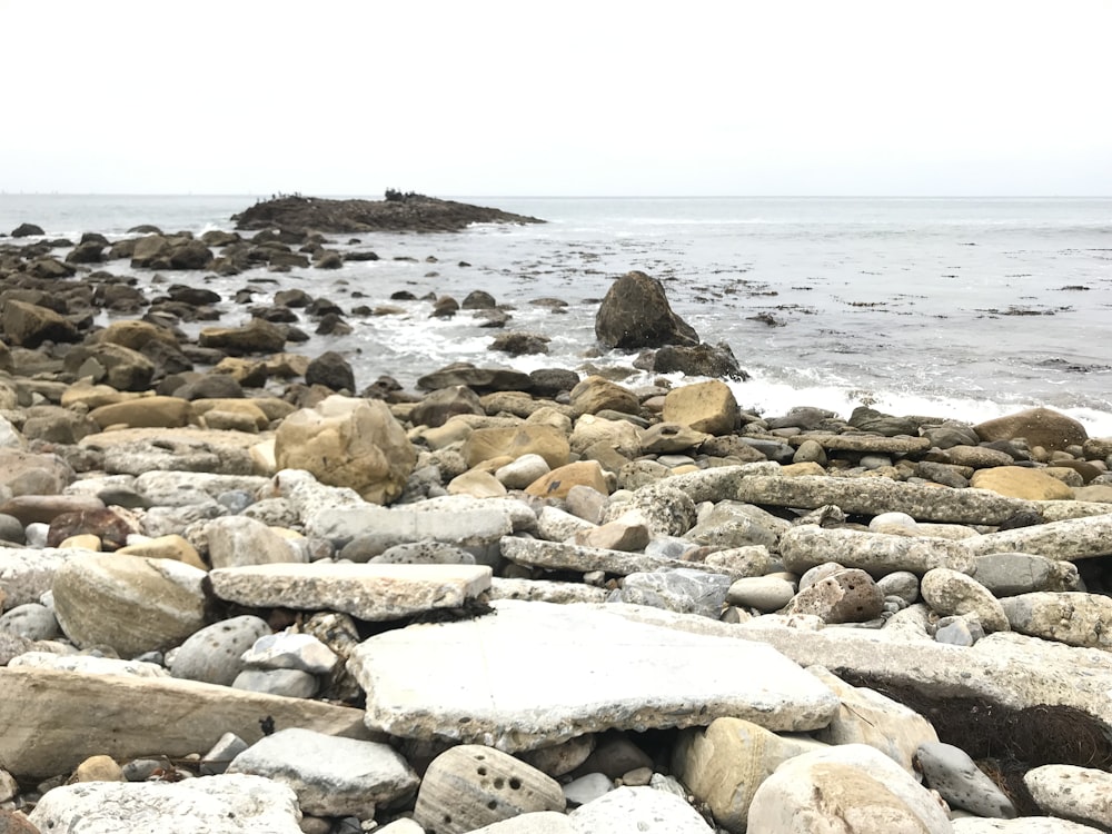 gray rocky shore during daytime