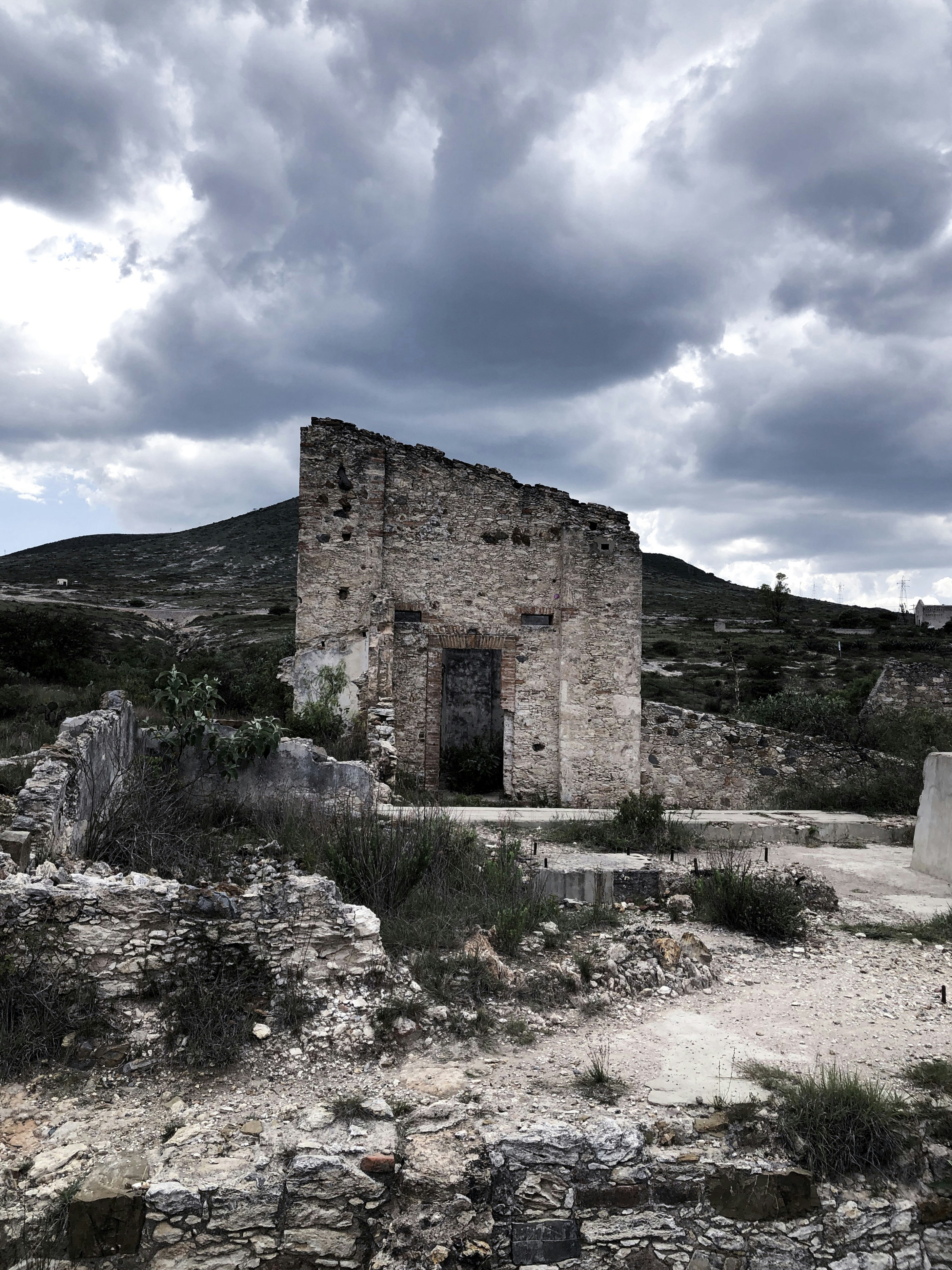 Photo by idannzepeda