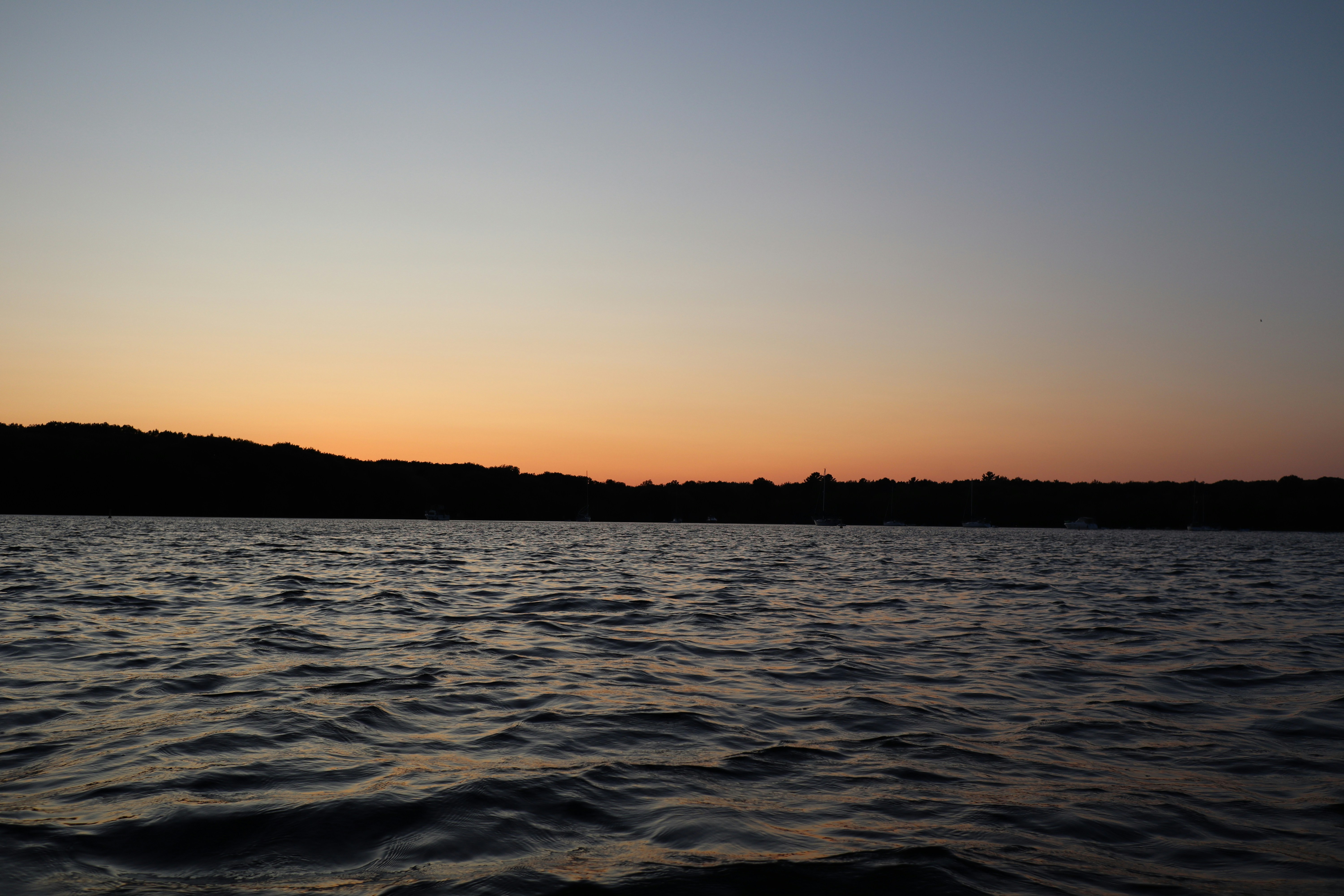 Photo by danreynolds