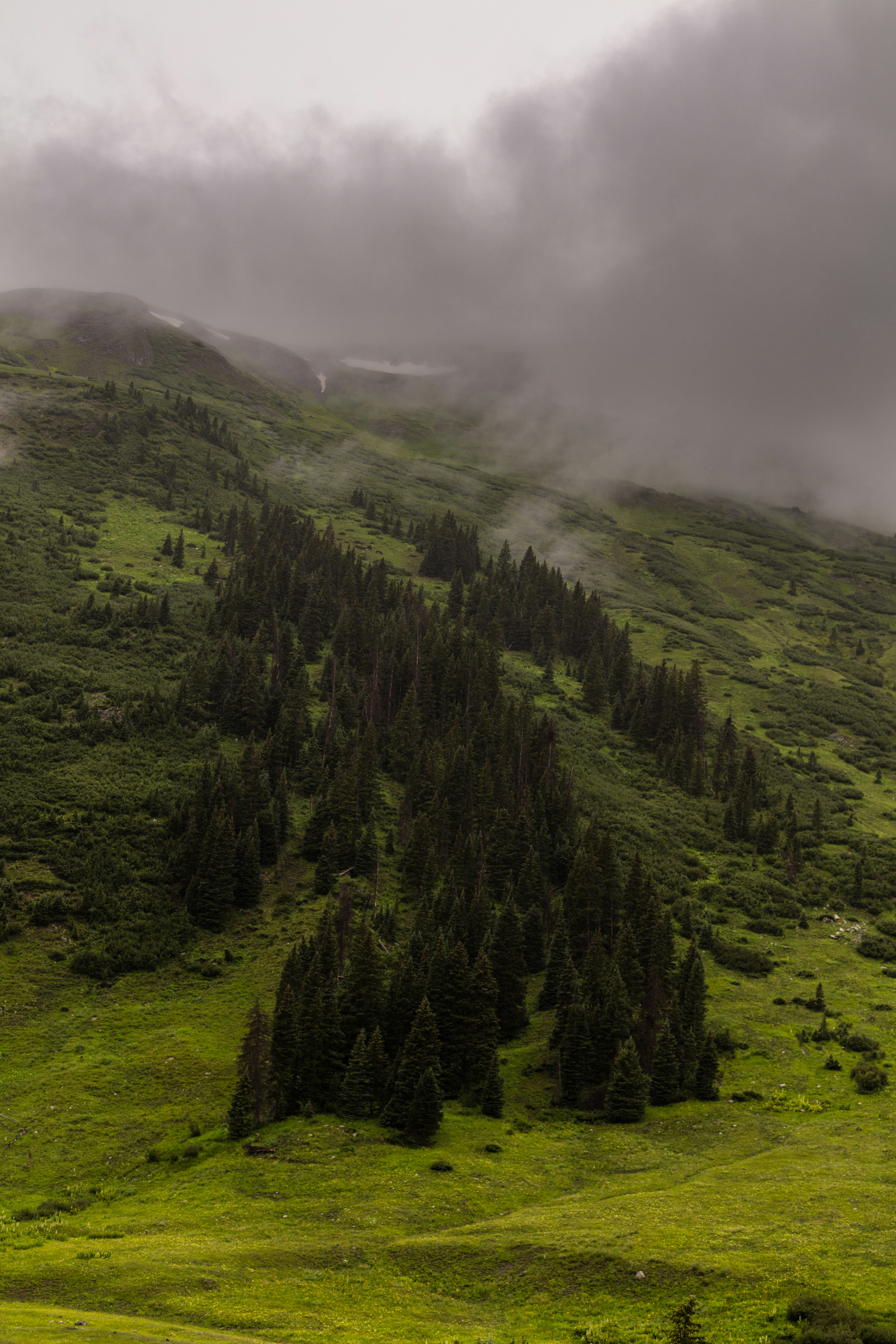 Photo by worldsbetweenlines