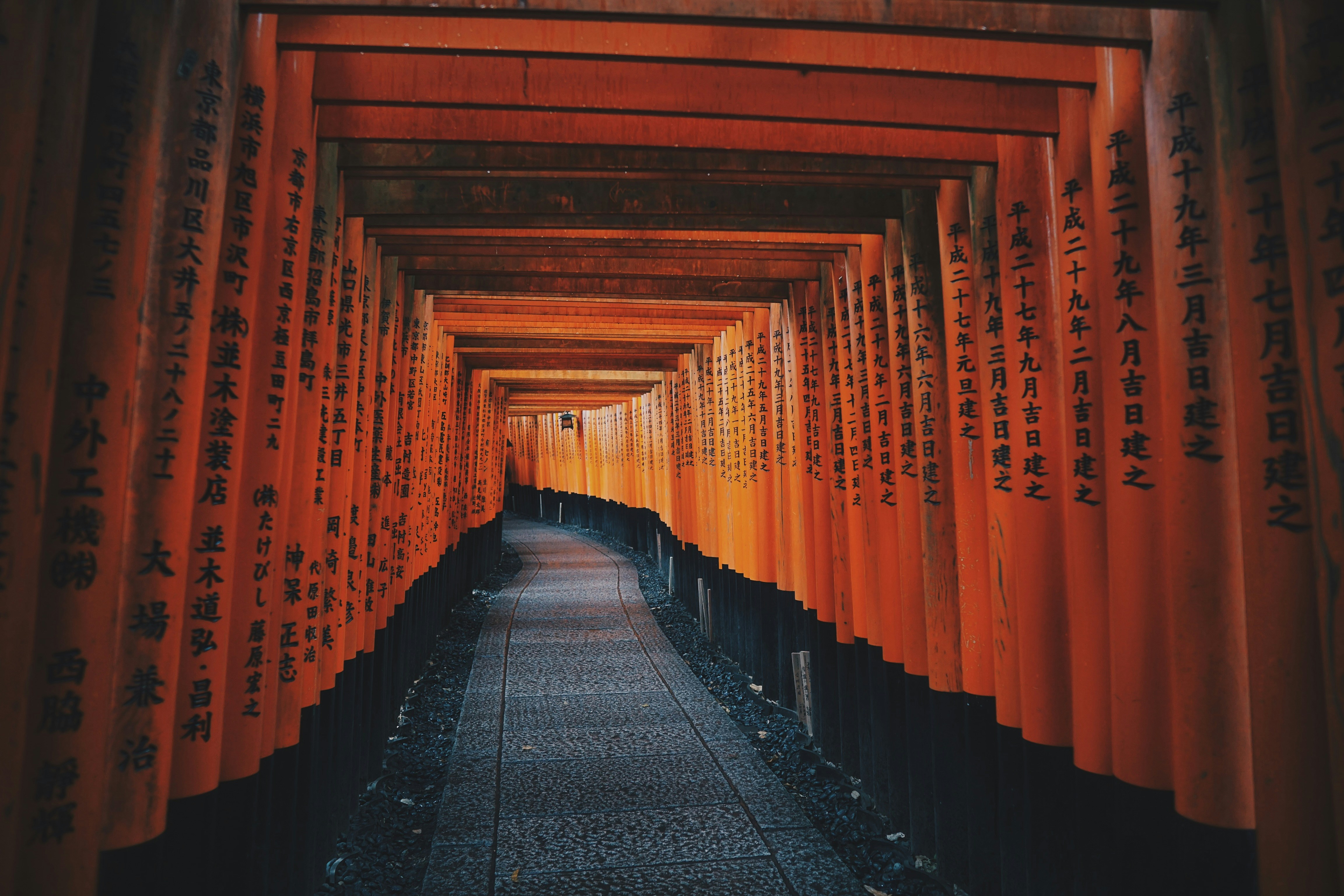 Photo by nicsandman20