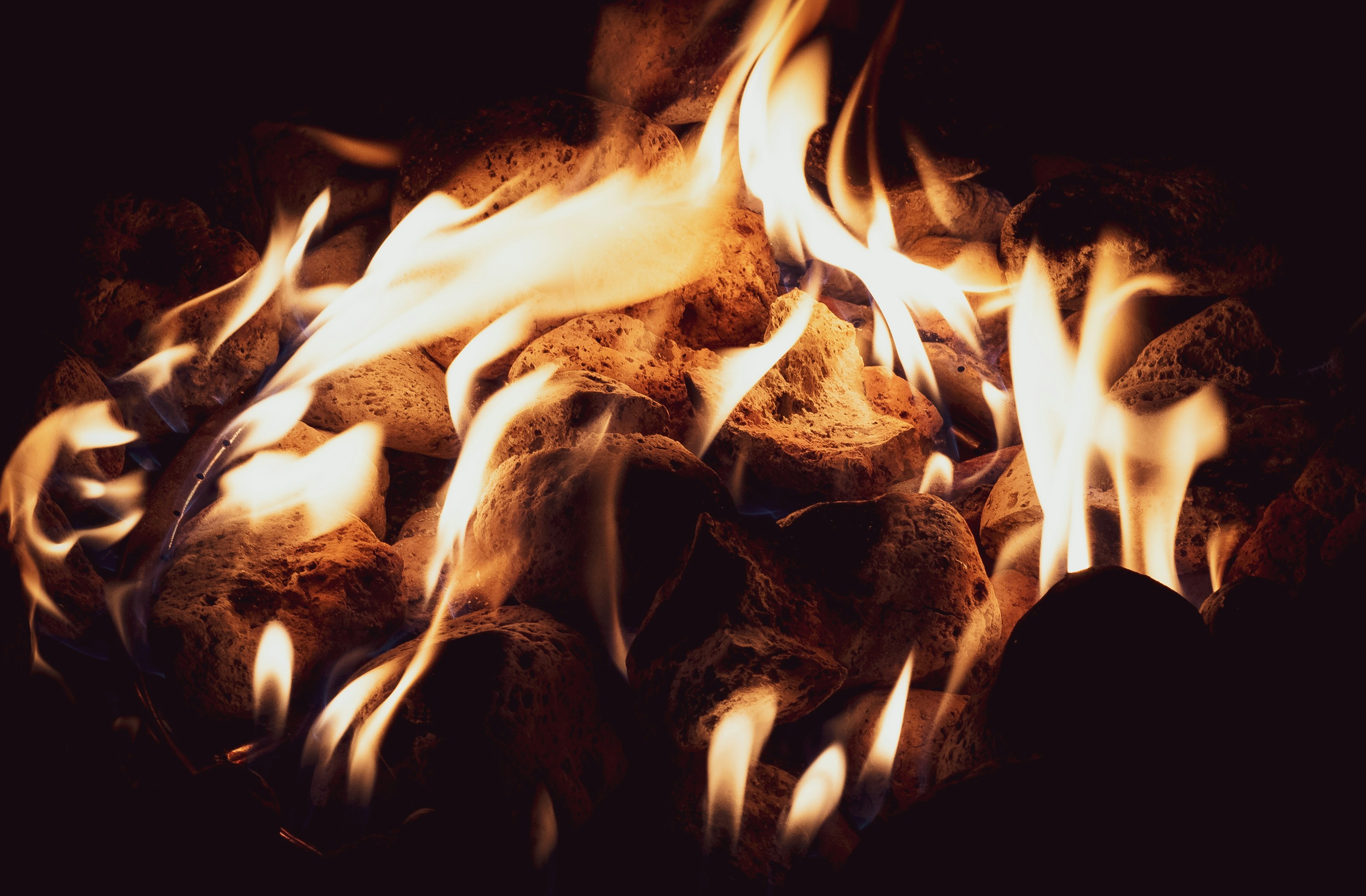 Ignite Your Core: Effective Ab Exercises at Home