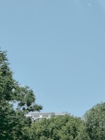 The school building with green and white colors under a clear blue sky.