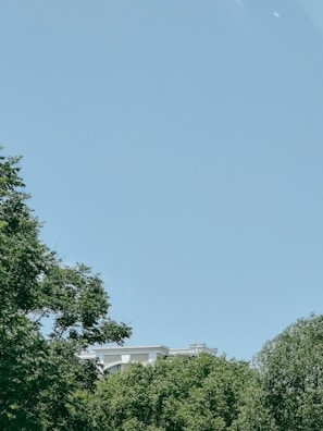 The school building with green and white colors under a clear blue sky.