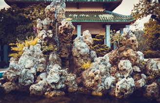 A serene rural garden with native plants and ornamental rocks arranged harmoniously.