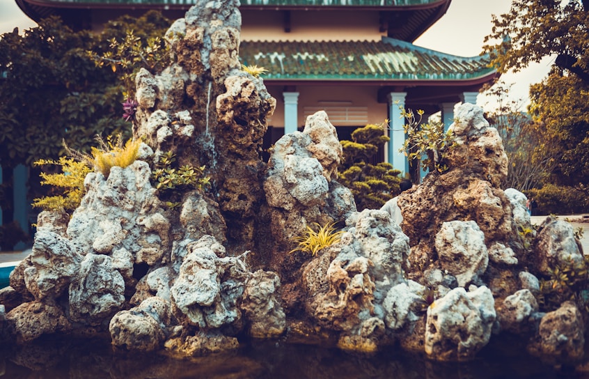 A serene rural garden with native plants and ornamental rocks arranged harmoniously.