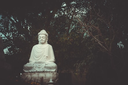 Buddha statue near trees