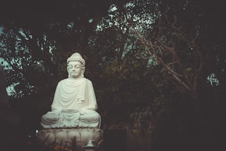 Buddha statue near trees