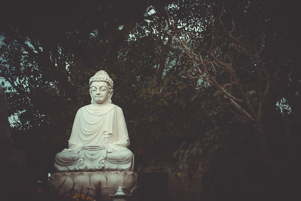 Buddha statue near trees