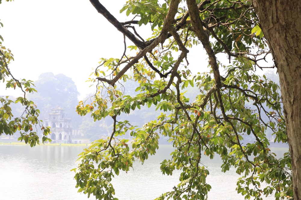 white and brown temple across lake