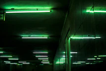 green fluorescent lamp