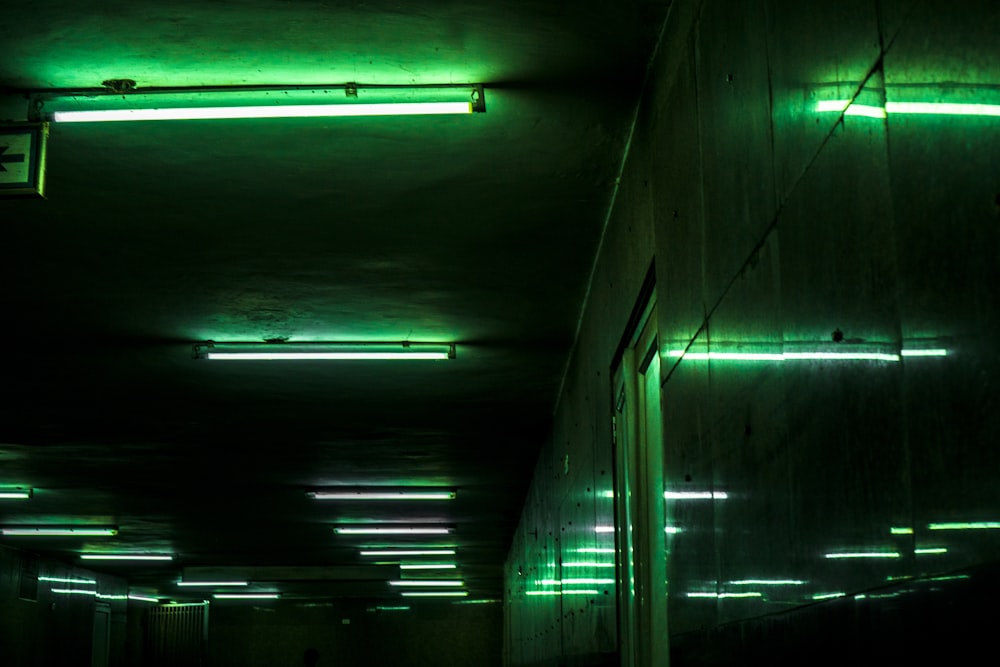 green fluorescent lamp