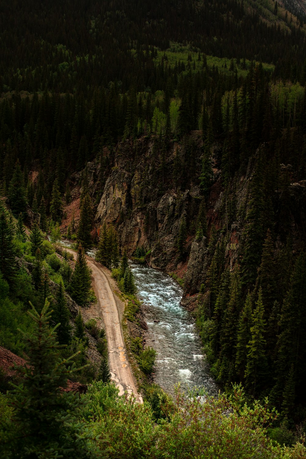 landscape photo of green-leafed trees and mountains