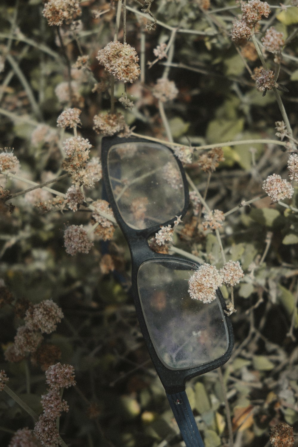 black framed eyeglasses