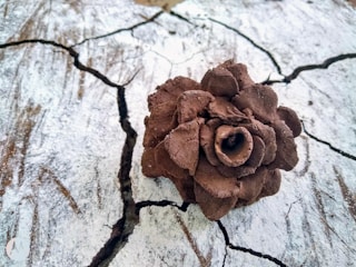 A brown, textured clay sculpture resembling a pinecone or a blooming flower sits on a cracked, weathered white surface, possibly wood. The contrast between the earthy sculpture and the pale background highlights the object.