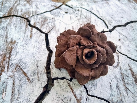 A brown, textured clay sculpture resembling a pinecone or a blooming flower sits on a cracked, weathered white surface, possibly wood. The contrast between the earthy sculpture and the pale background highlights the object.