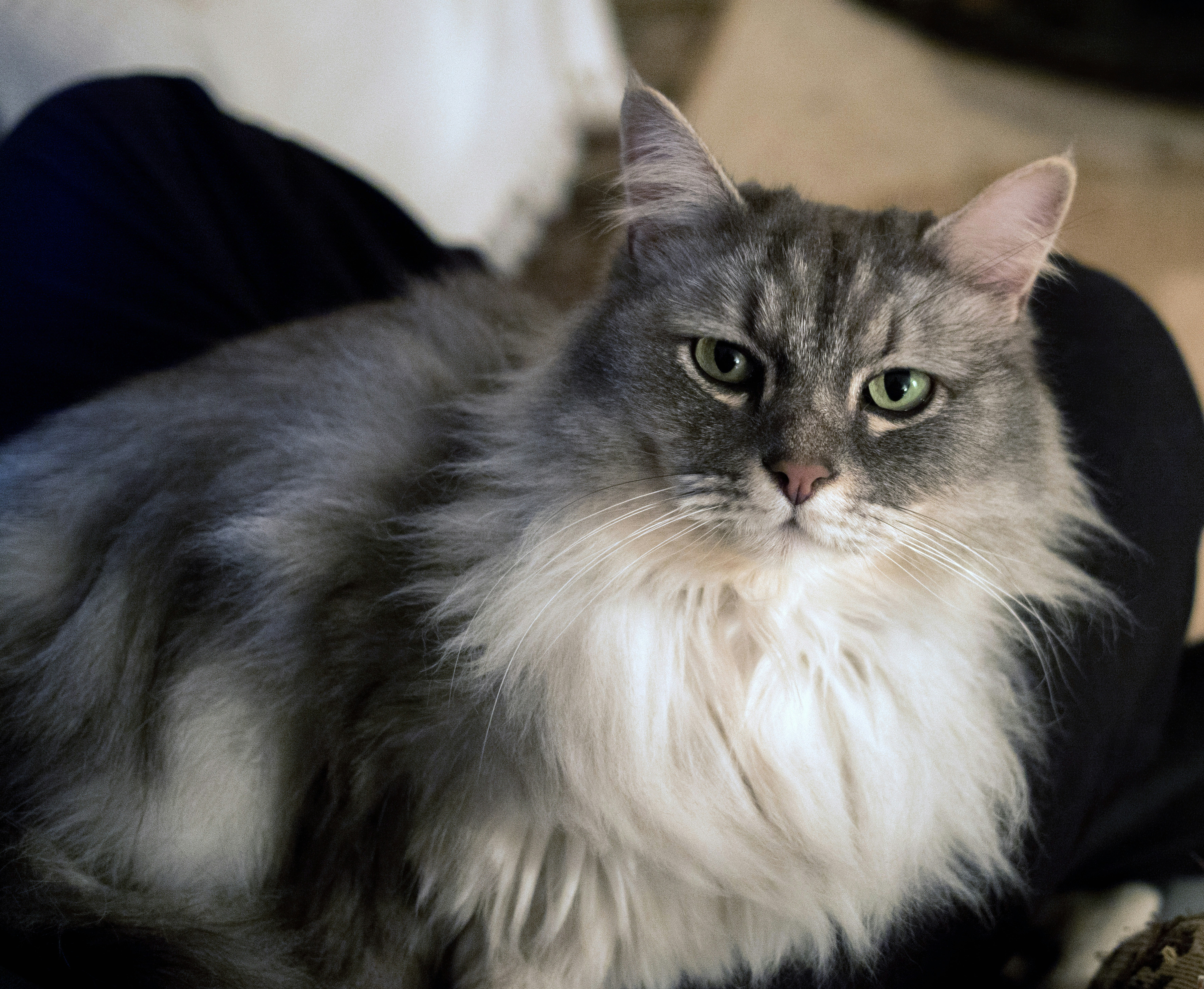 Photo by brett_jordan