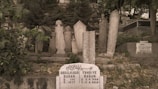 Several intricately carved tombstones stand amidst lush greenery in a cemetery. The headstones display ornate designs, featuring inscriptions in a foreign script. The scene is serene, with plants and trees surrounding the gravestones, creating an atmosphere of quiet reflection.