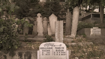 Several intricately carved tombstones stand amidst lush greenery in a cemetery. The headstones display ornate designs, featuring inscriptions in a foreign script. The scene is serene, with plants and trees surrounding the gravestones, creating an atmosphere of quiet reflection.