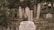 Several intricately carved tombstones stand amidst lush greenery in a cemetery. The headstones display ornate designs, featuring inscriptions in a foreign script. The scene is serene, with plants and trees surrounding the gravestones, creating an atmosphere of quiet reflection.