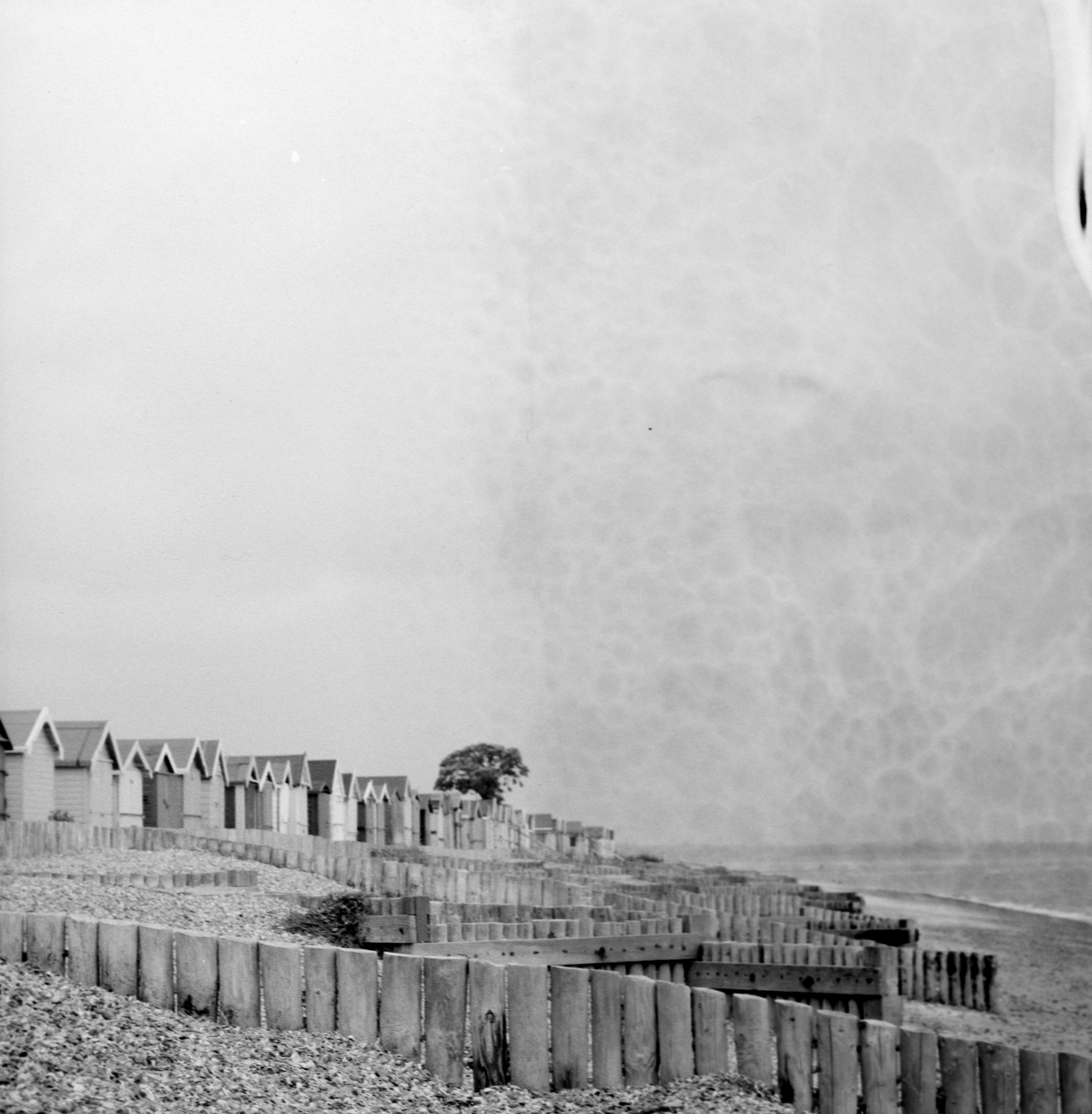 Photo by anniespratt