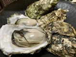 A collection of fresh oysters, some of which are open, revealing their plump meat inside their textured, rough shells. The shells have a variety of shades, from brown to green, and the oysters are resting on a dark surface.