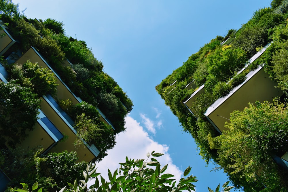 식물이 있는 건물의 로우 앵글 사진