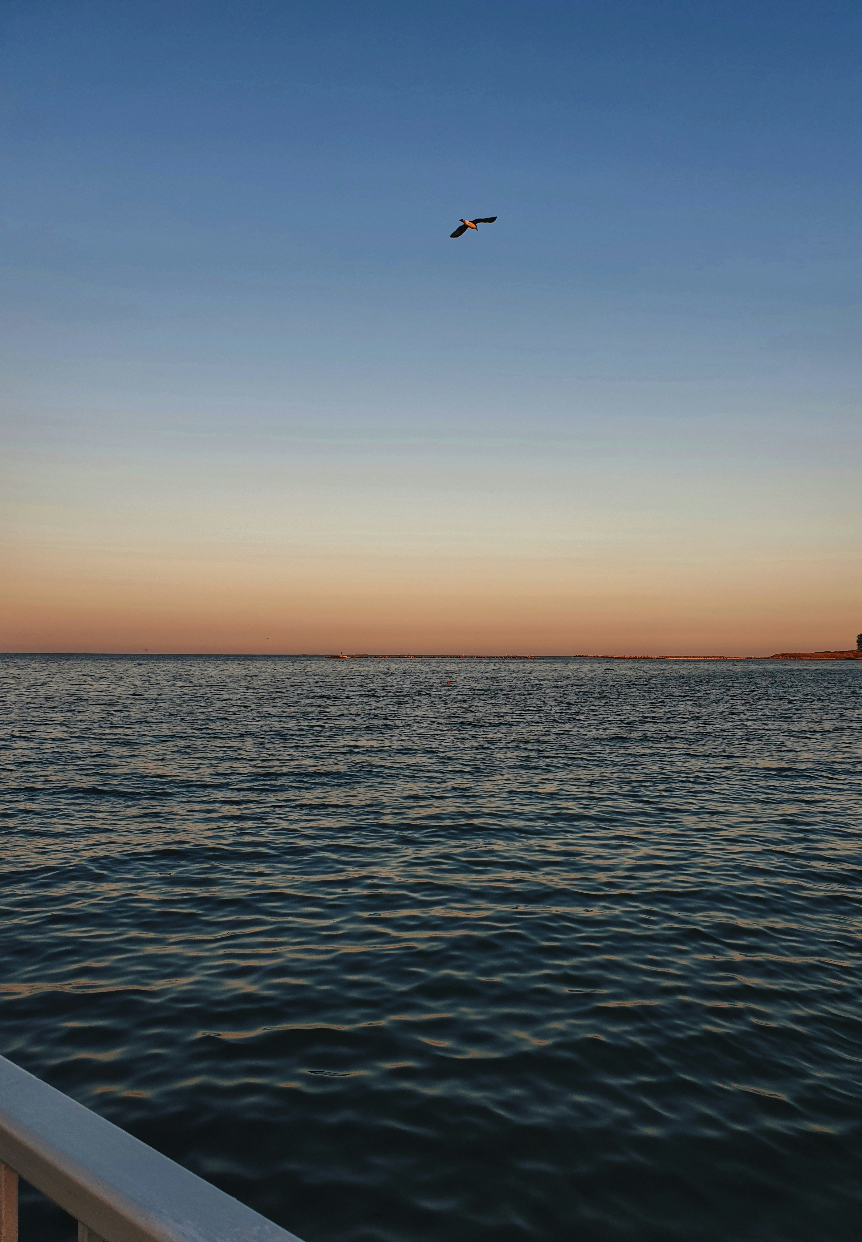 Constanța – Geography & Spatial Structure