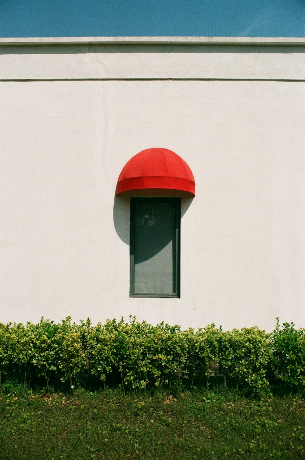 glass-paneled window with red canopy