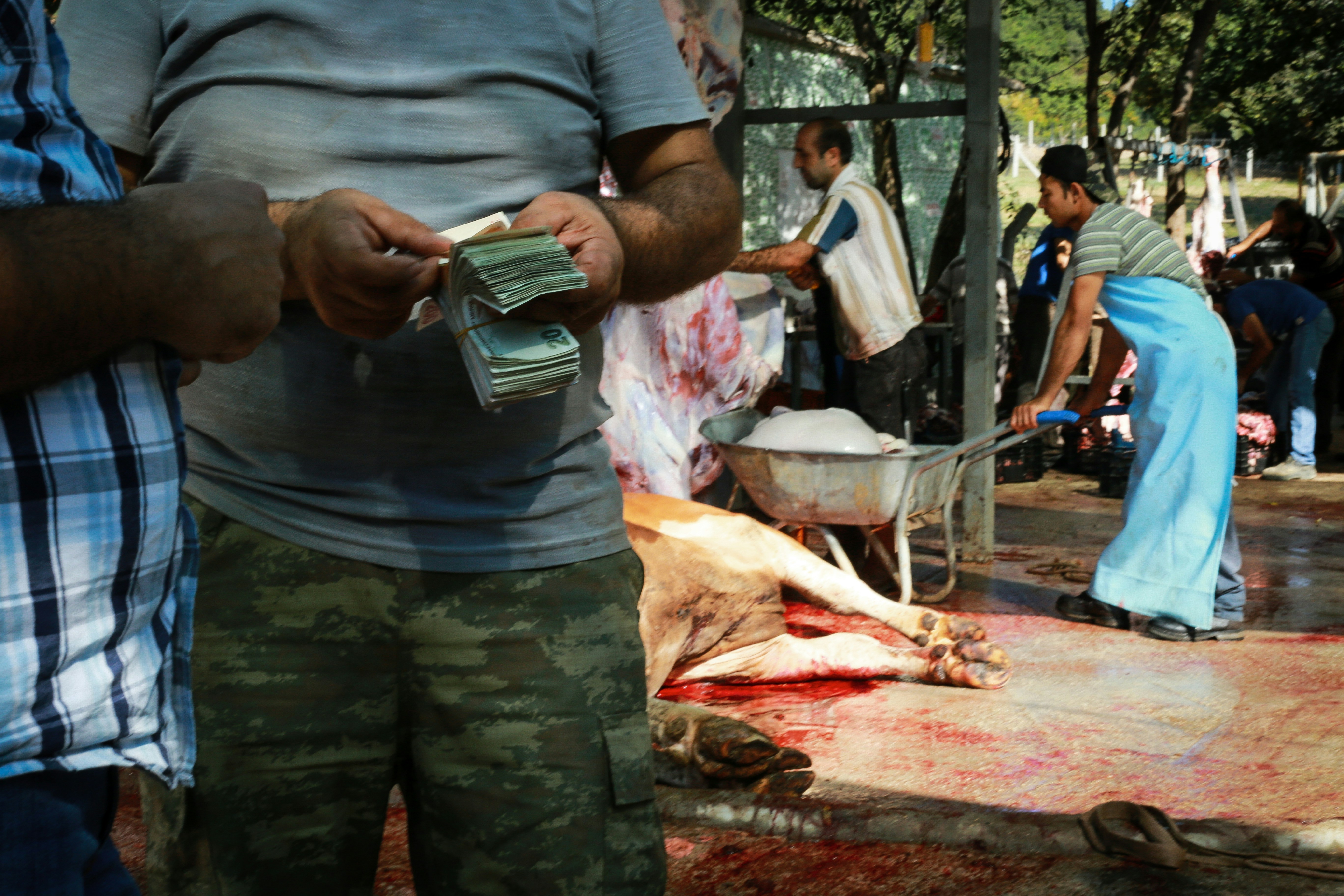 The Business of Faith: Investigating the Economics of Halal Certification