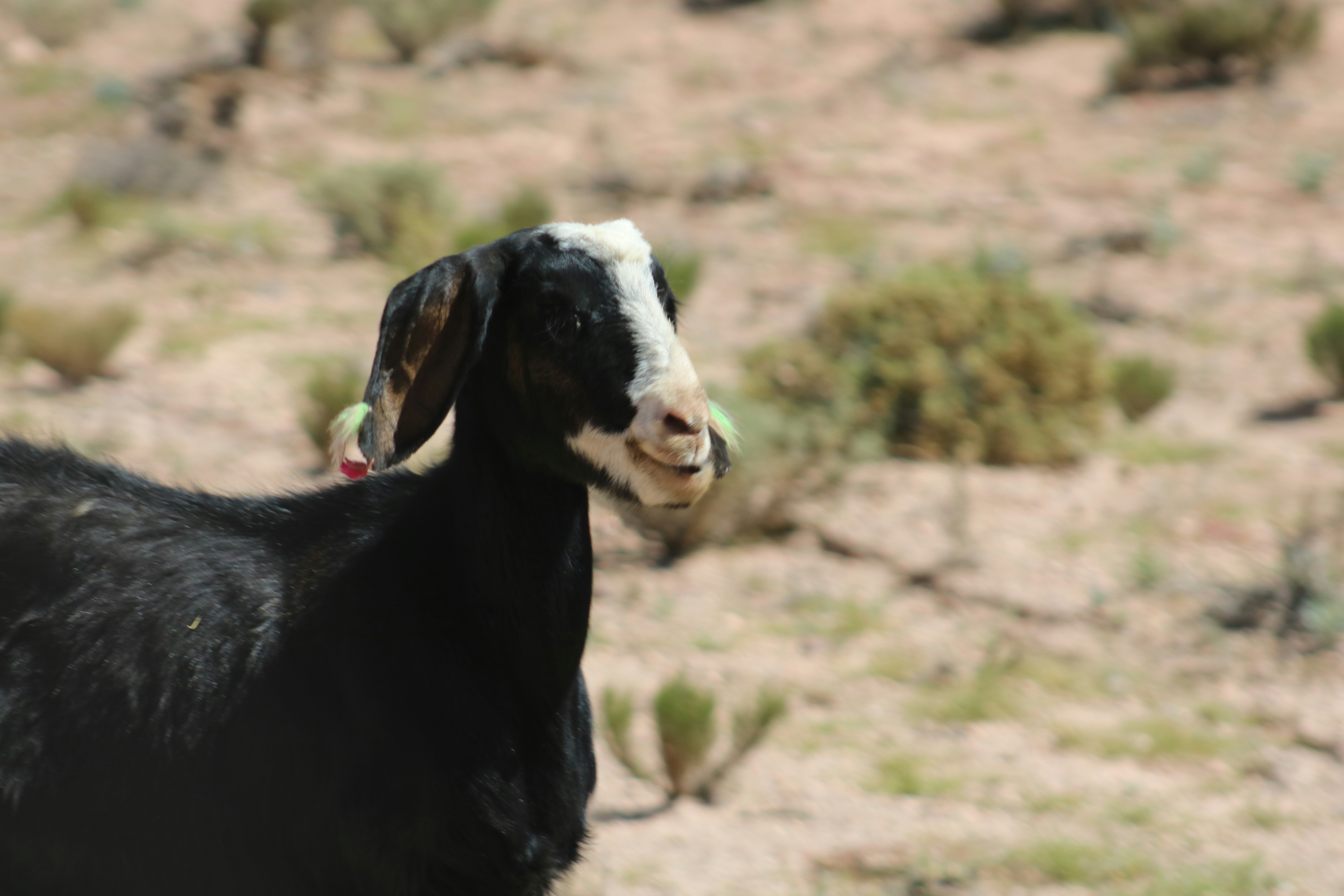 Photo by jorgefdezsalas