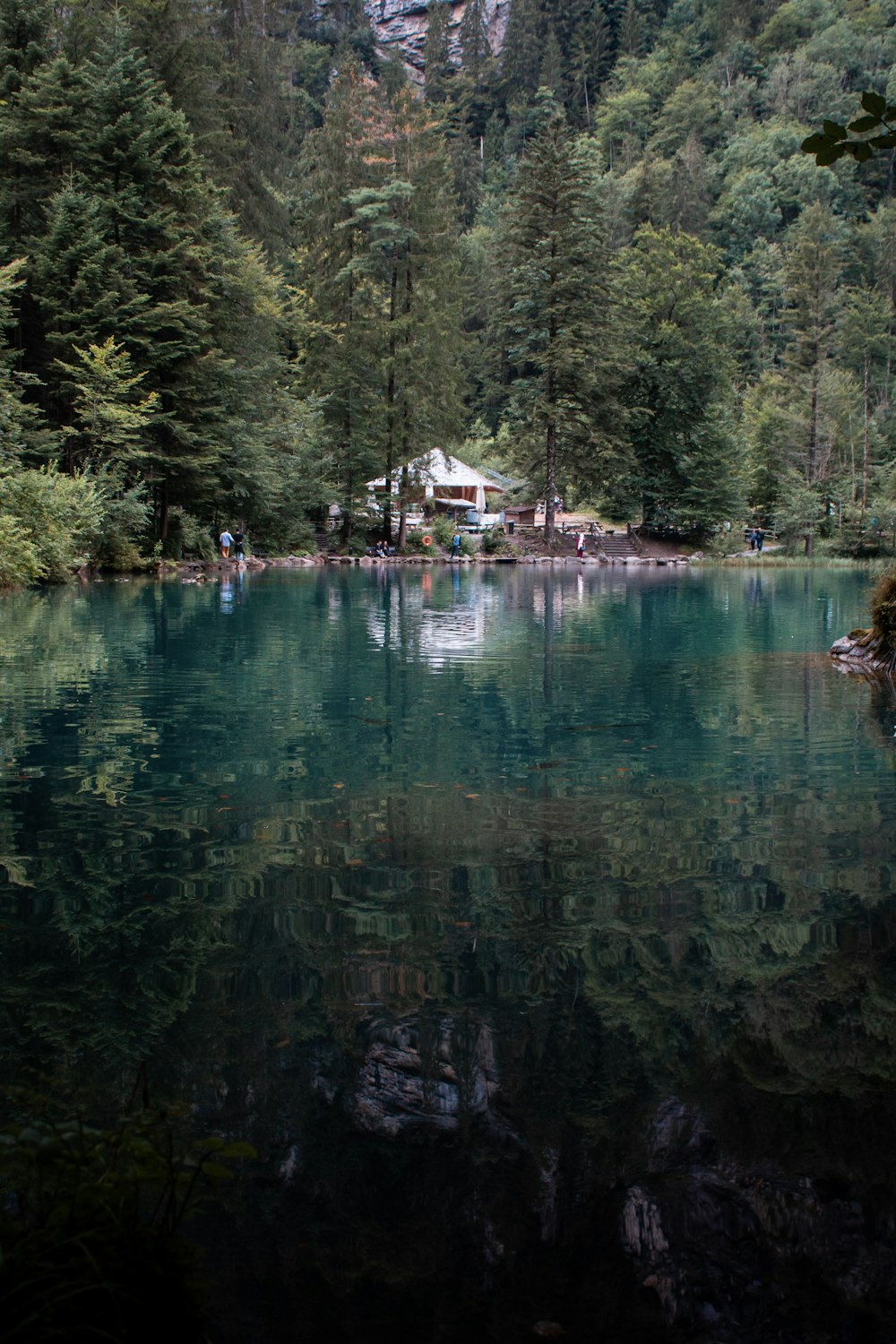 calm blue body of water beside trees