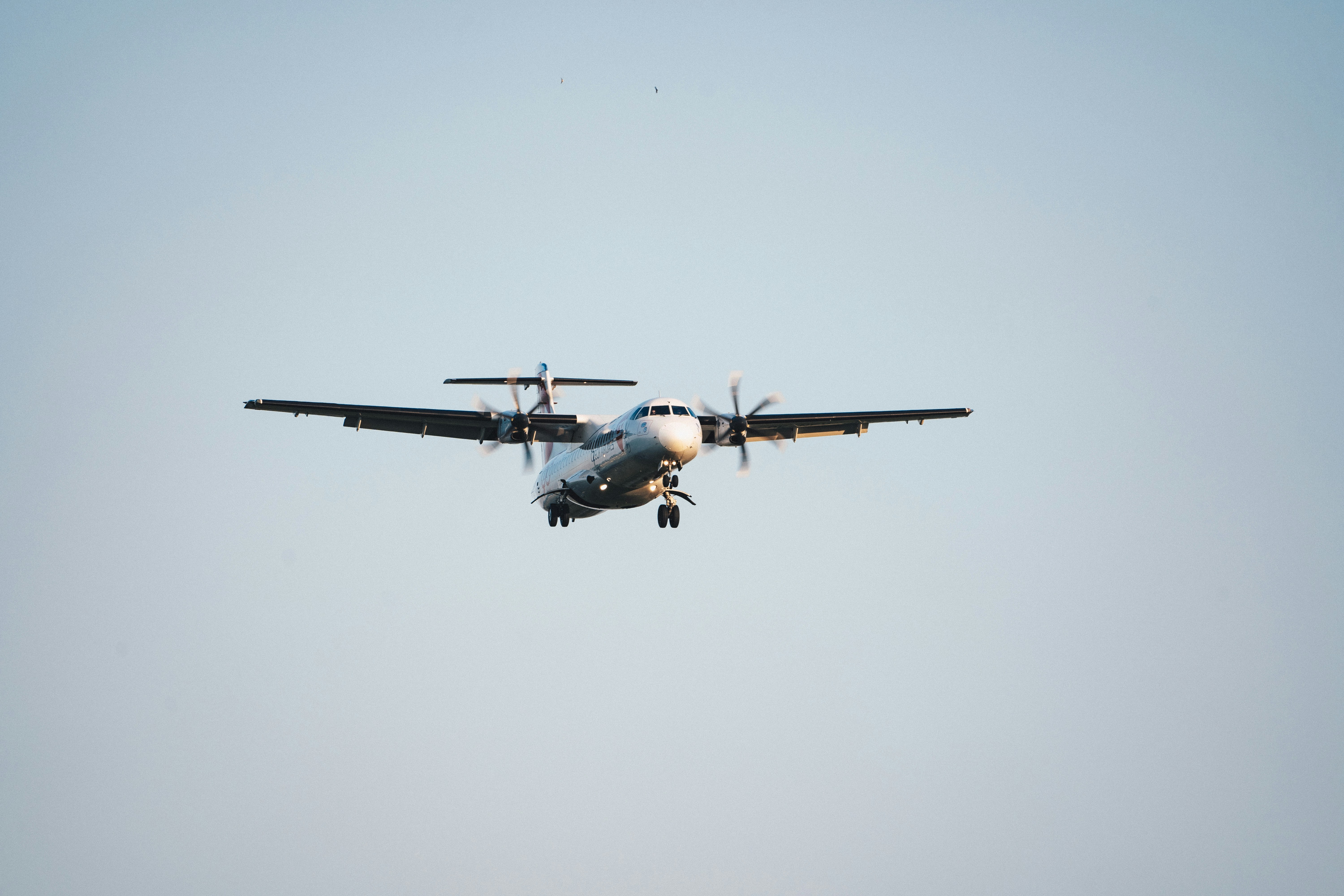 Photo by ballaschottner