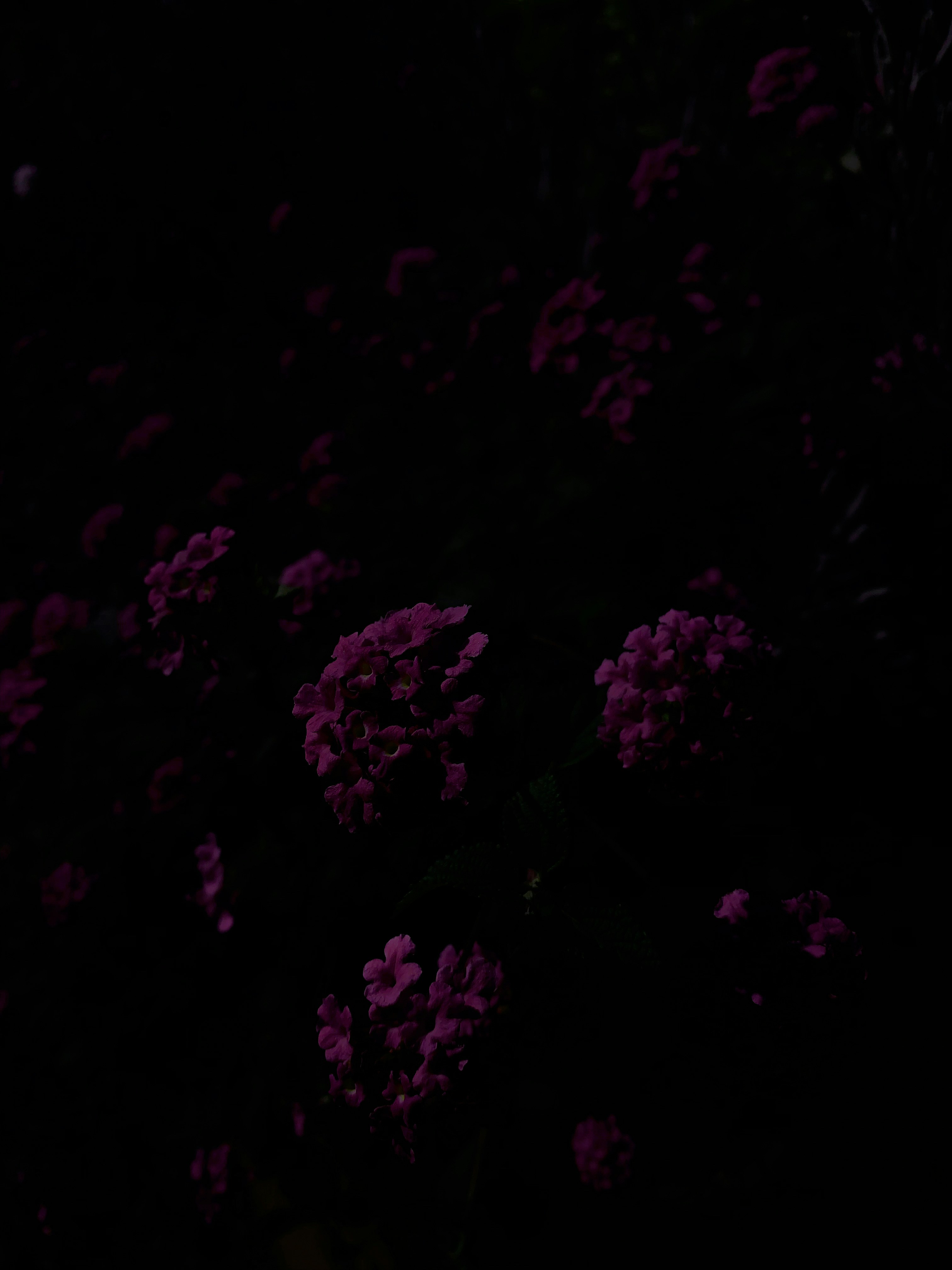 Beacons banner for @summer