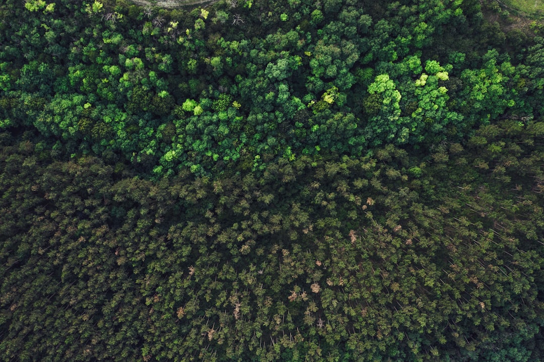 Natural landscape photo spot Páty Hungary