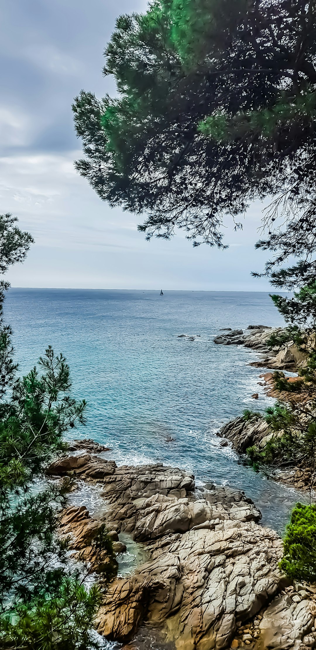 Shore photo spot Passeig Ridaura Barcelona