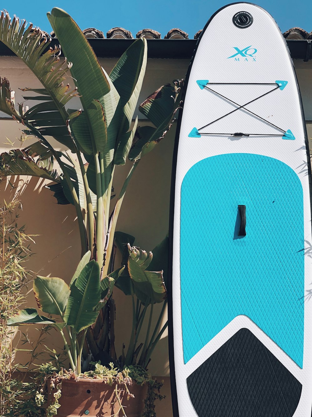 white and blue paddle board