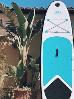 A large paddleboard with a white and blue design is propped upright against a light-colored wall. Next to the paddleboard, there is a tall potted plant with broad green leaves casting shadows on the wall. The background features a clear blue sky with part of a roof visible, suggesting a sunny day.