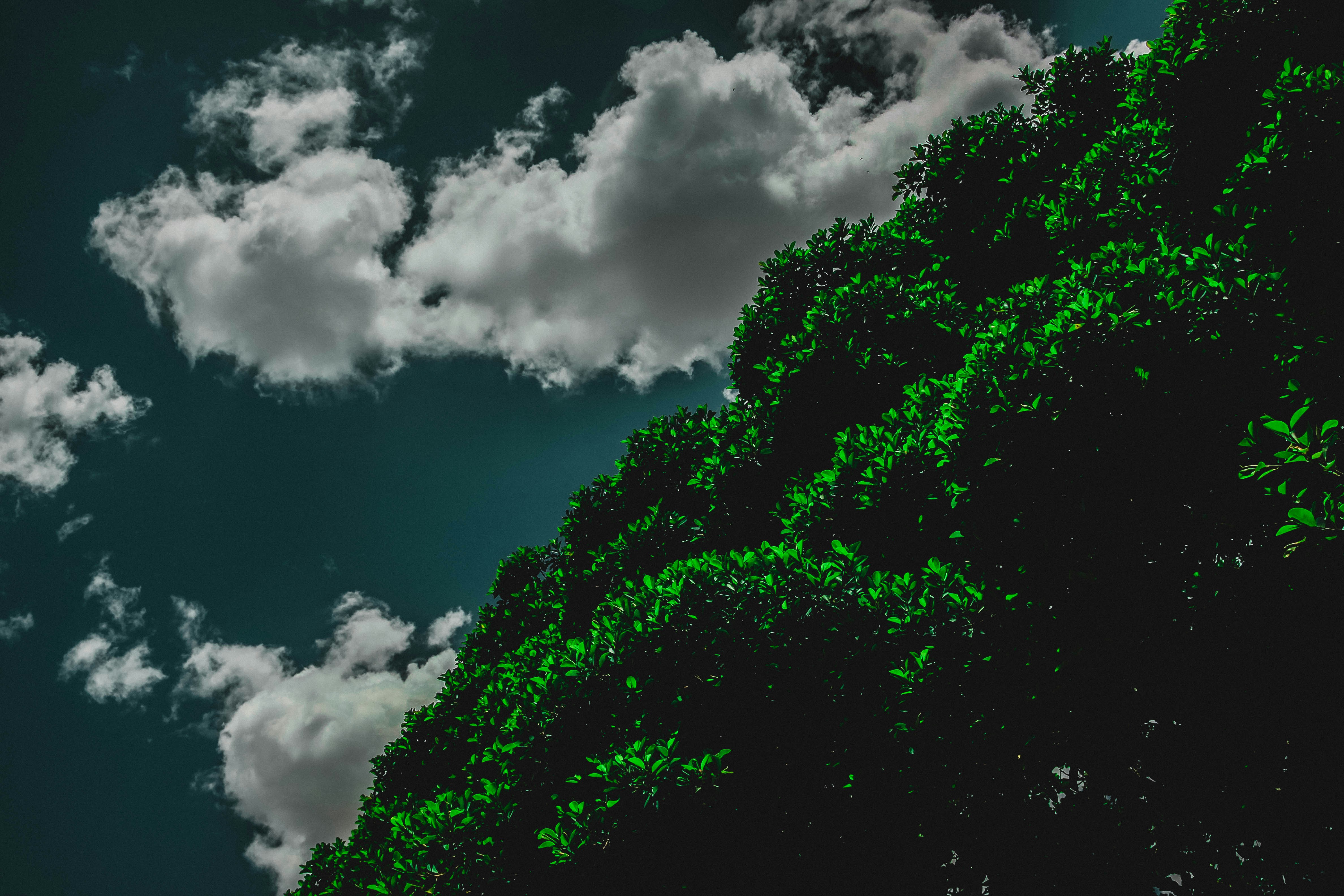 weather teams background