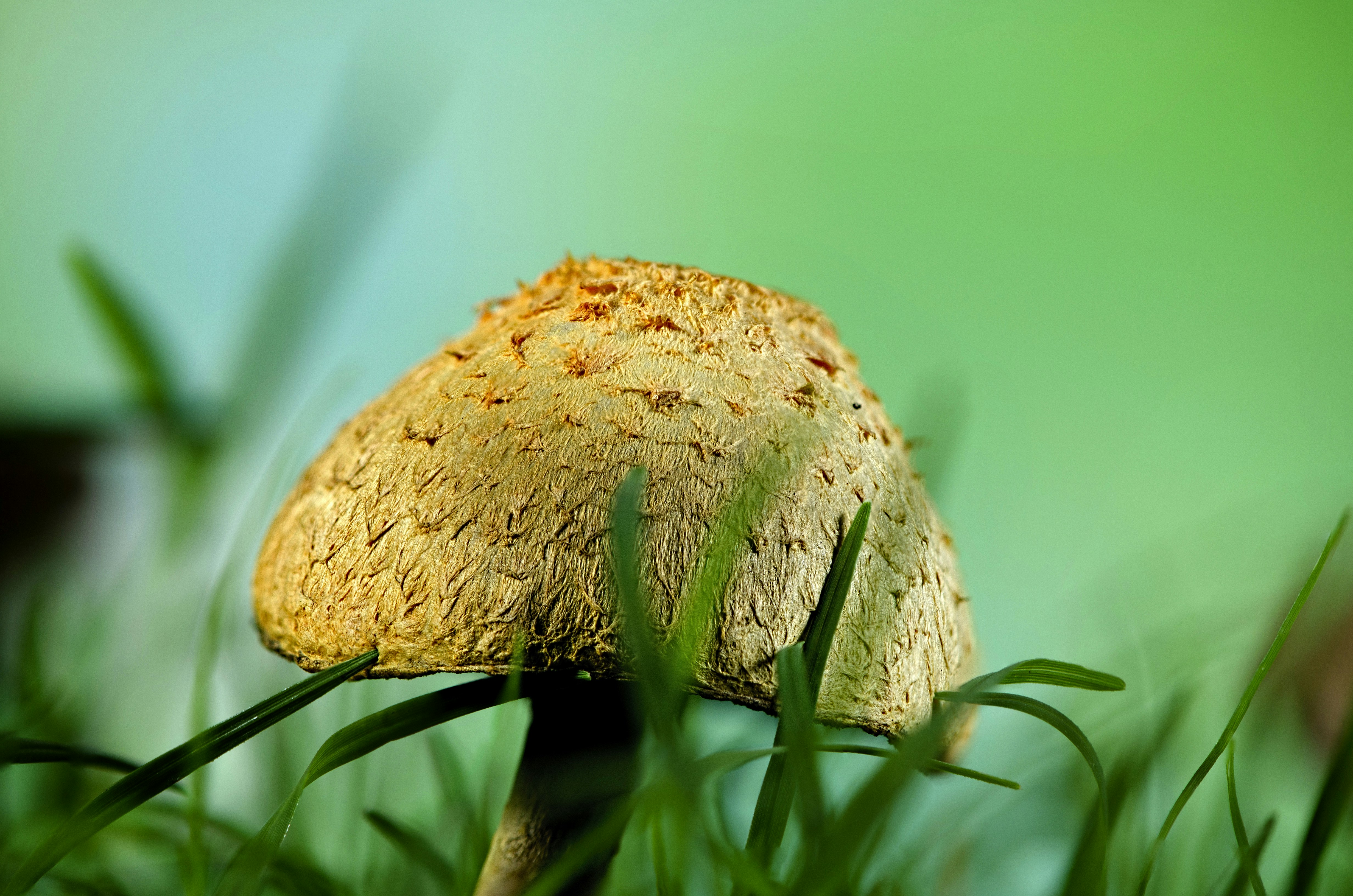 Photo by rochangraphics