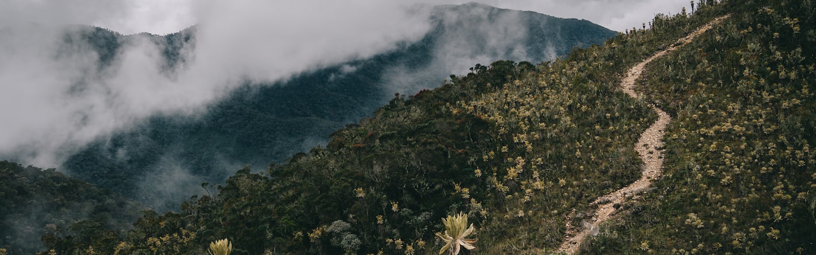 Colombia landscapes | 18 best free colombia, outdoor, scenery and