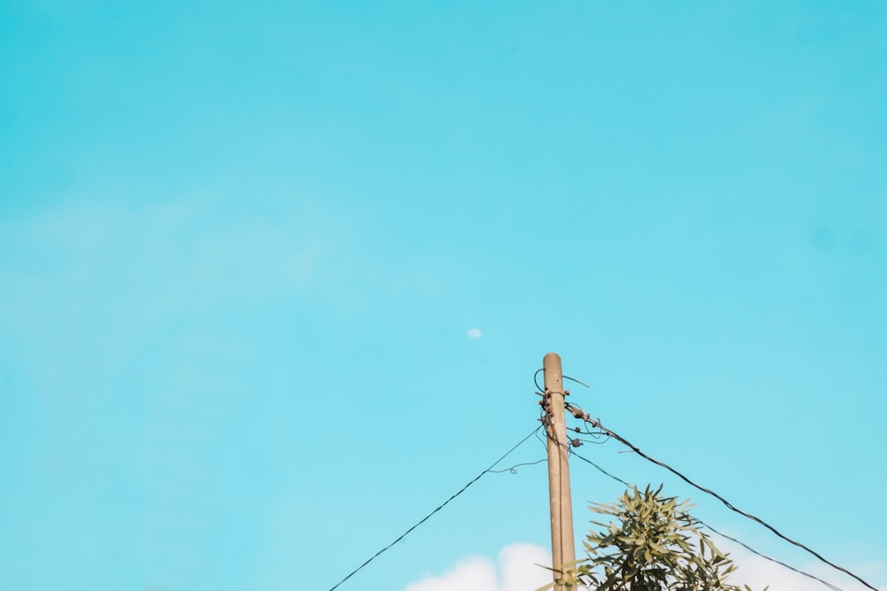 electric post under clear sky