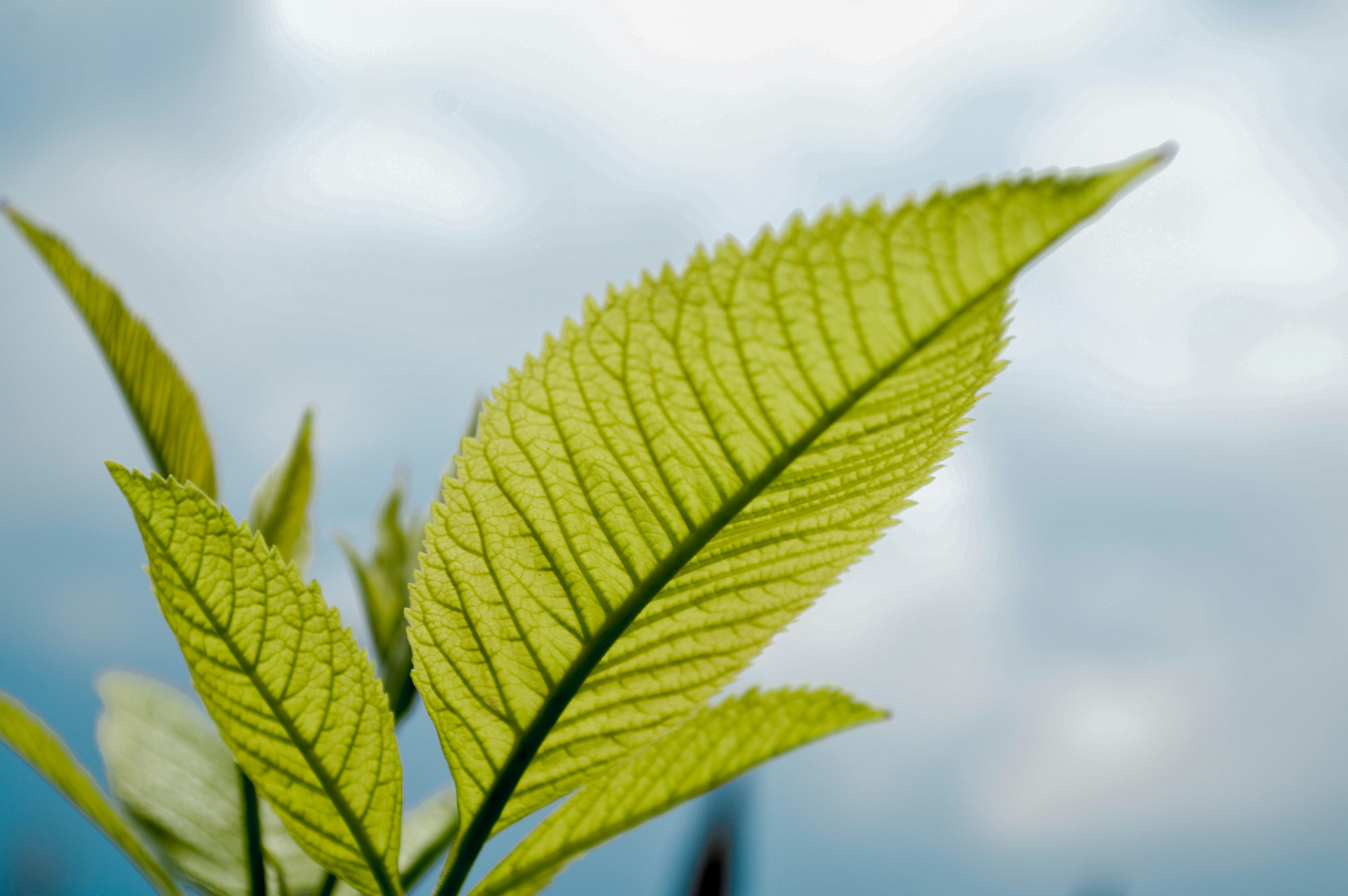 Photo by mylifeasaryan_