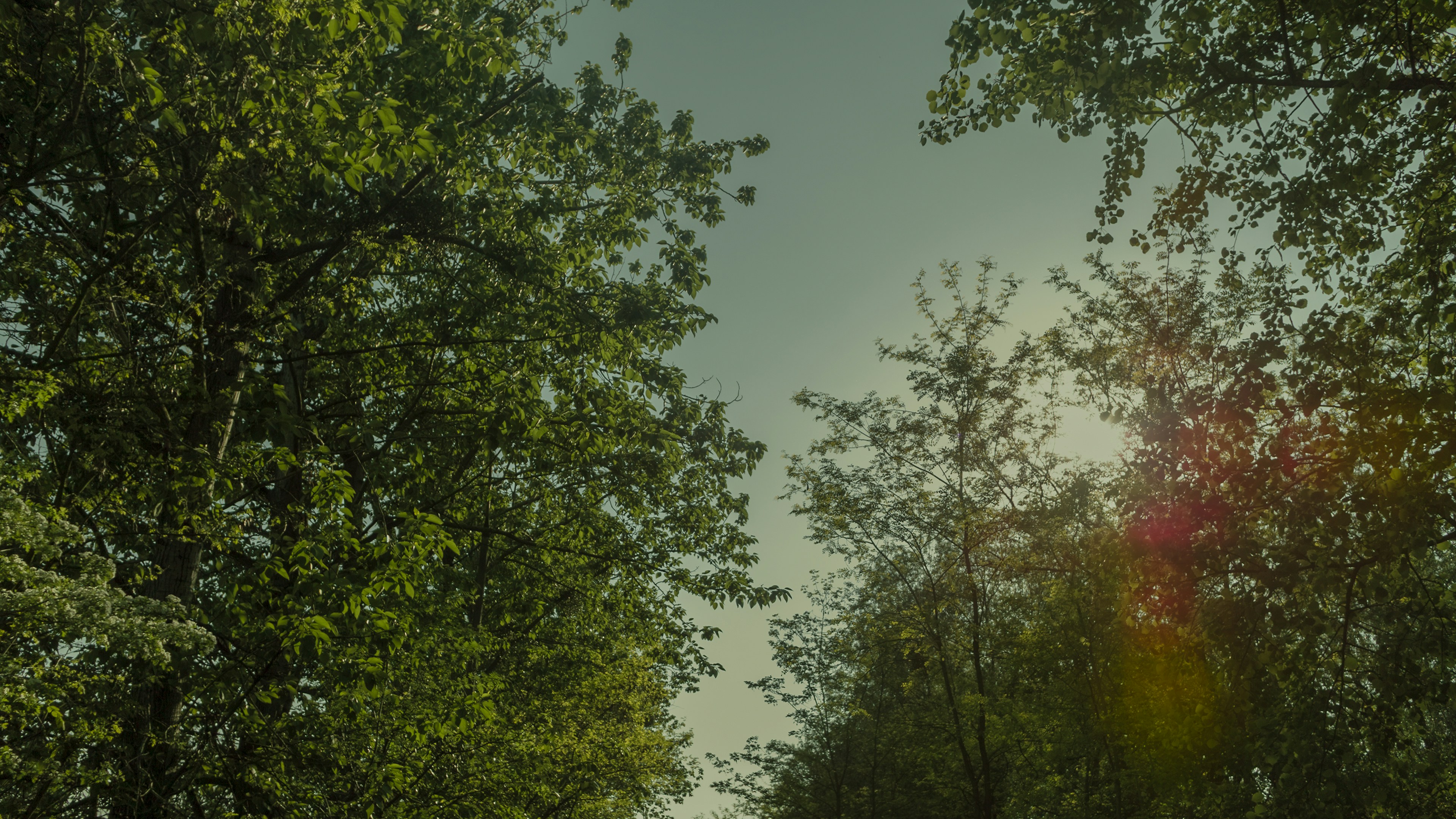 Fraction header image